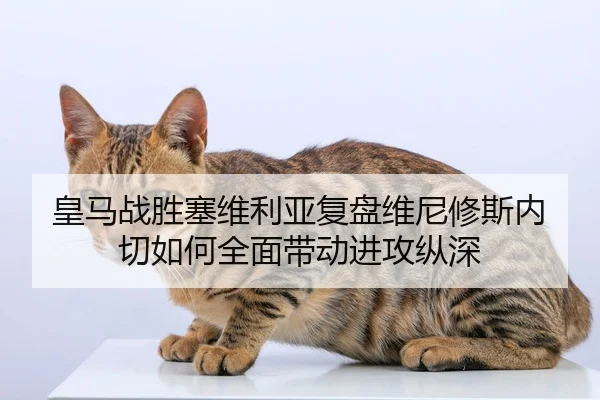 皇马战胜塞维利亚复盘维尼修斯内切如何全面带动进攻纵深